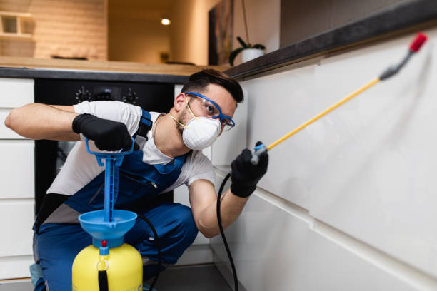 Best Local Pest Control Services  in Walkertown, NC