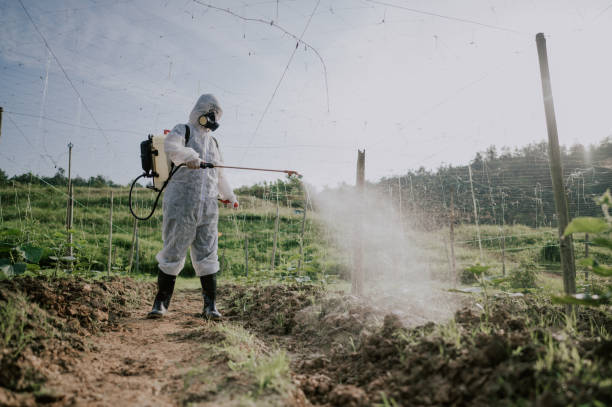 Best Best Pest Control Companies  in Walkertown, NC