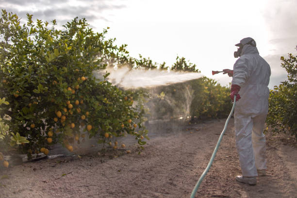 Best Affordable Pest Control Services  in Walkertown, NC