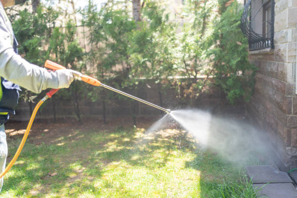 Best Wasp Removal Services  in Walkertown, NC