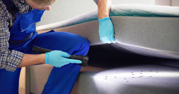 Best Local Pest Control Services  in Walkertown, NC