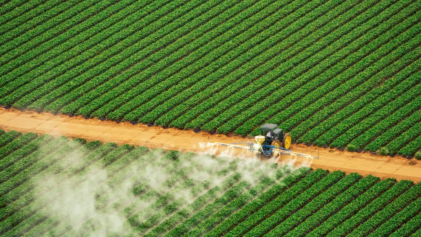 Best Pest Control for Homes  in Walkertown, NC