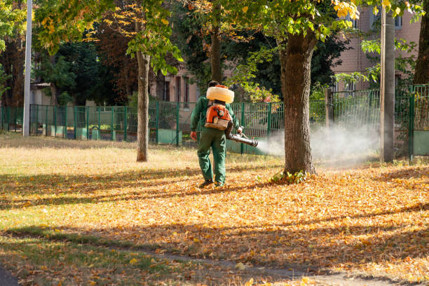 Best Commercial Pest Control Services  in Walkertown, NC
